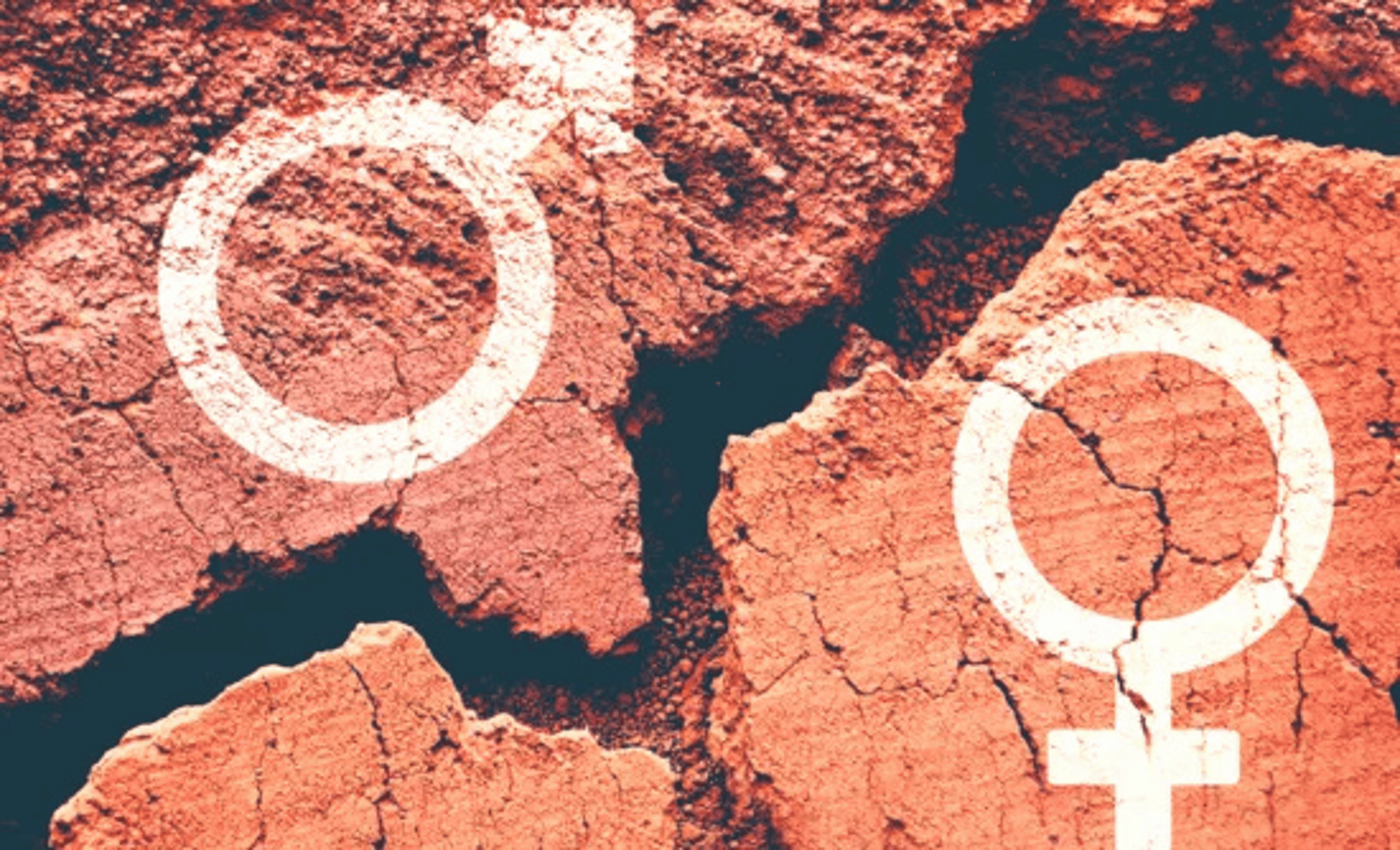 Climate Change and Gender Gap: A Bi-Univocal Perspective [Event in Turin, Italy]